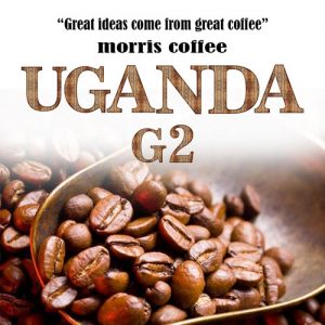 قهوه اوگاندا G2