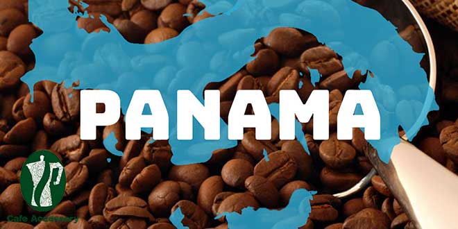 قهوه در پاناما
